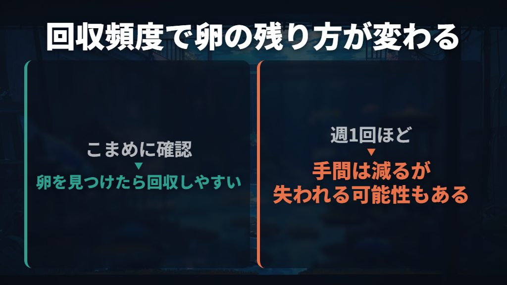毎日と週1回では回収の考え方が違う