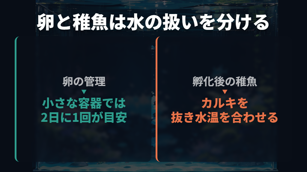 水換えを続ける|水道水は卵と稚魚で扱いを分ける
