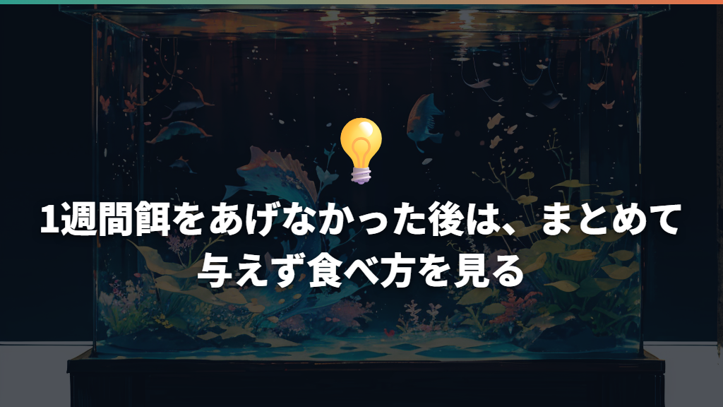 1週間餌をあげなかった後は、まとめて与えず食べ方を見る