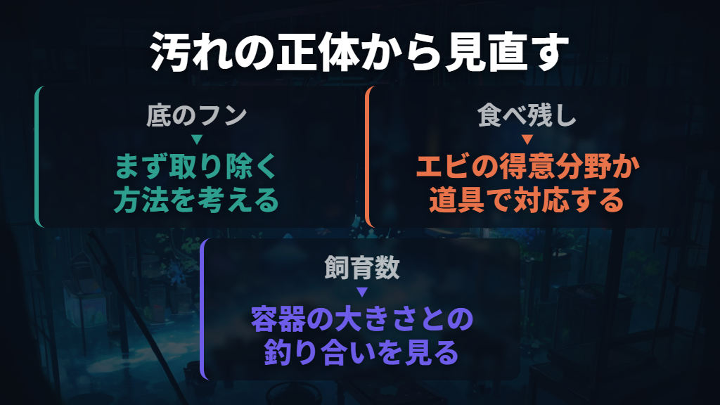 フンが増えるときは、匹数と食べ残しから見直す