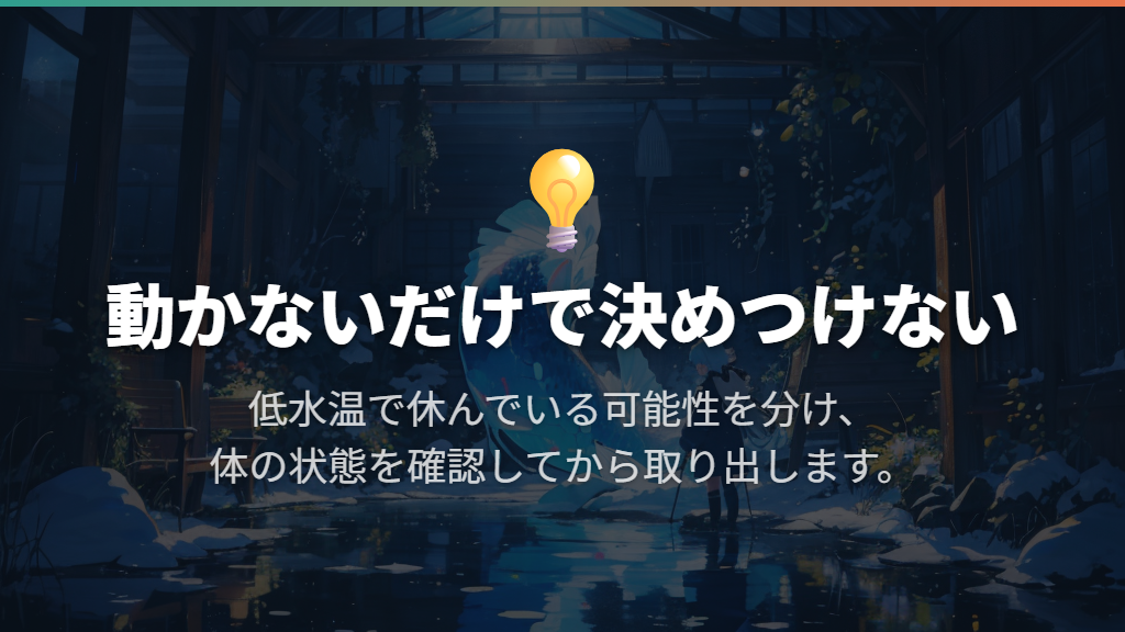 動かないだけで判断せず、死亡したメダカは取り出す