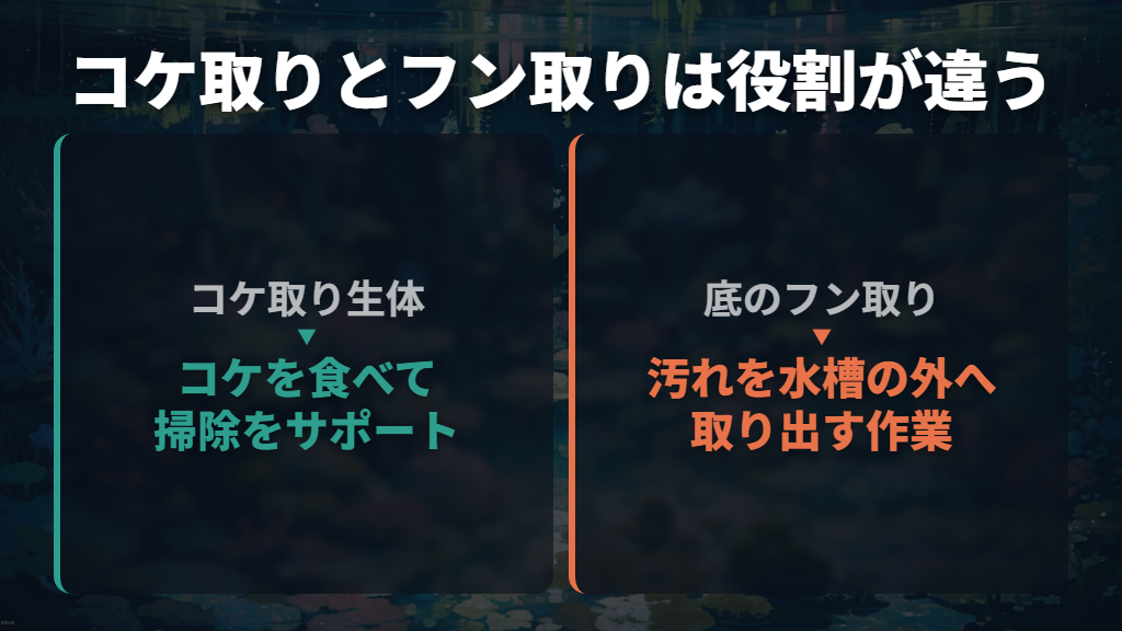 フンを食べる魚の存在と、掃除を任せられるかは別
