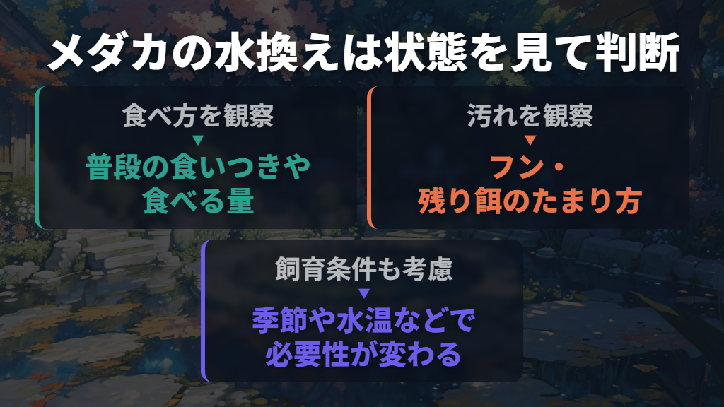 掃除と水換えの頻度は、魚種・給餌・季節で判断する