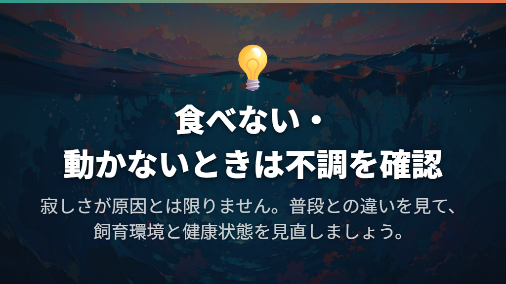 動かない・食べないときは、寂しさより先に不調を確認する