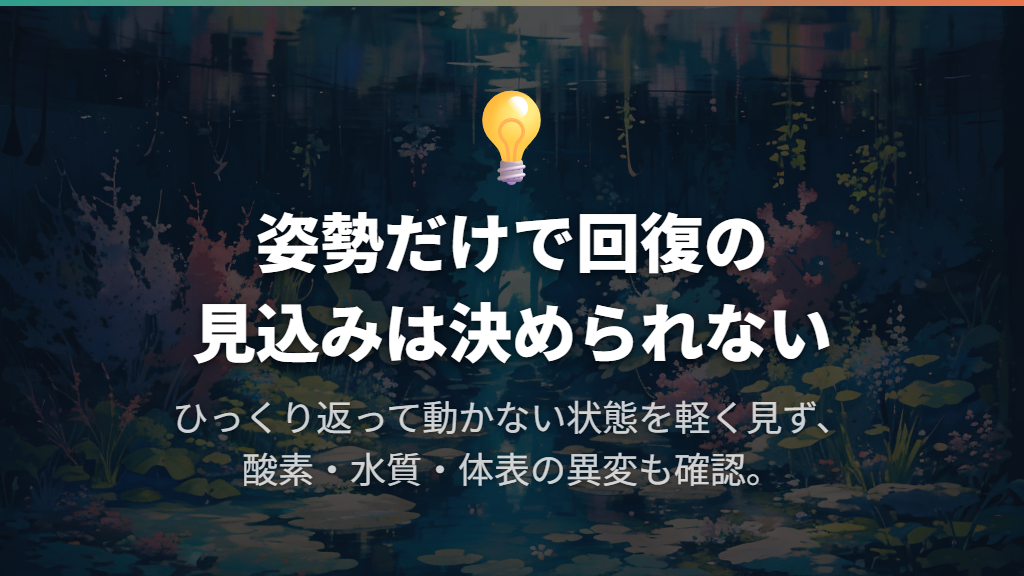 横たわる・ひっくり返るだけでは回復の見込みを決められない
