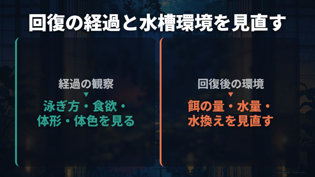 復活までの日数を決めつけず、回復後も水槽環境を見直す