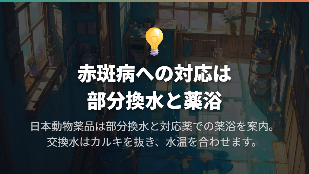 赤斑病への初期対応は部分換水と適応のある薬浴