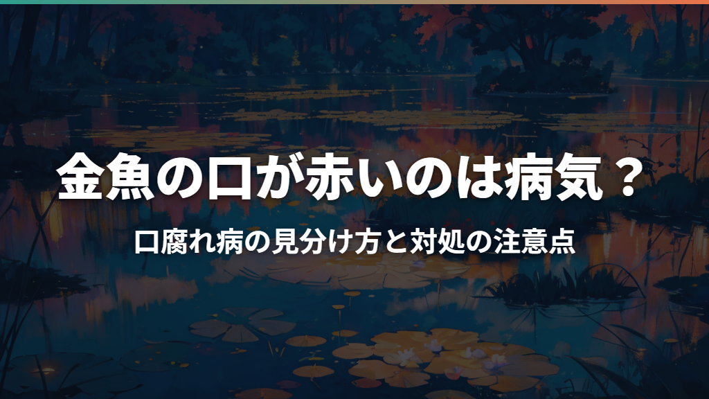 金魚の口が赤いのは病気?口腐れ病の見分け方と対処の注意点