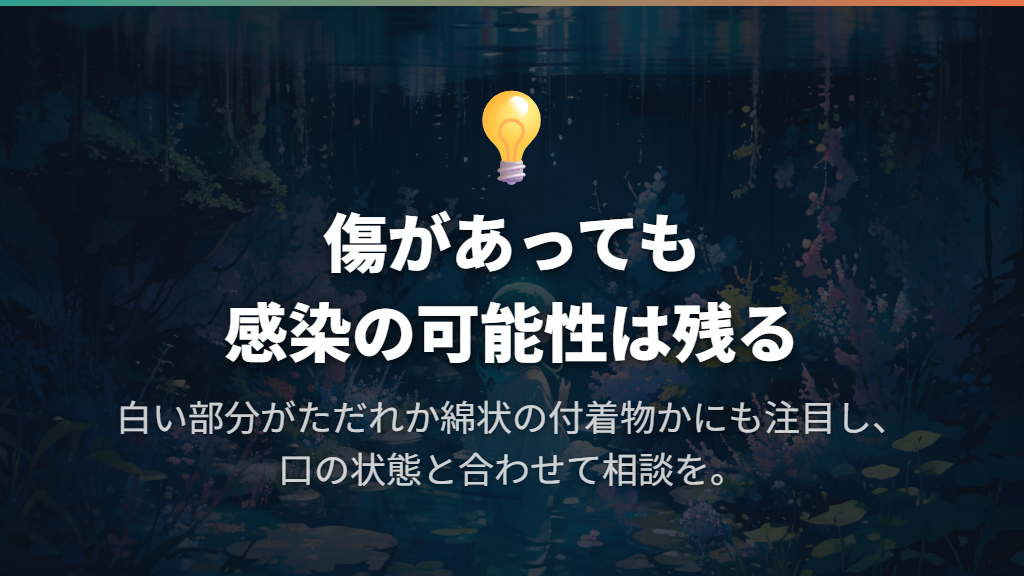 傷と感染、白い綿状の付着物を切り離して考えない