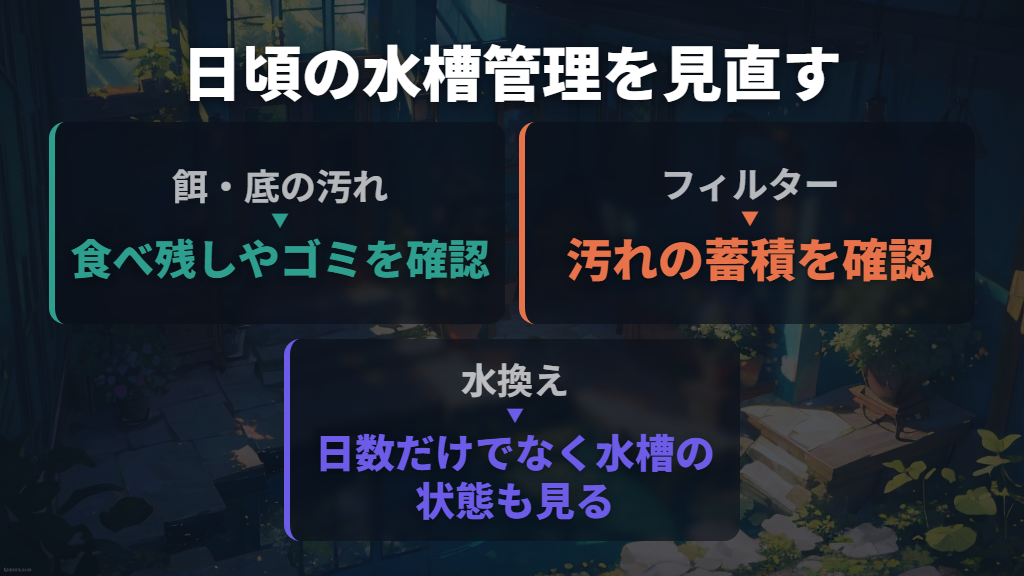 再発を防ぐために水換え・餌・フィルターを見直す