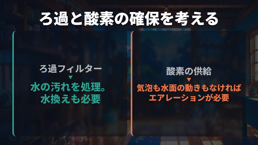 一匹でもろ過と酸素の確保を考えて道具をそろえる