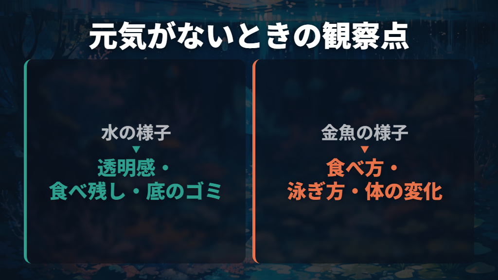 元気がないときは寂しさと決めつけず水と体を観察する