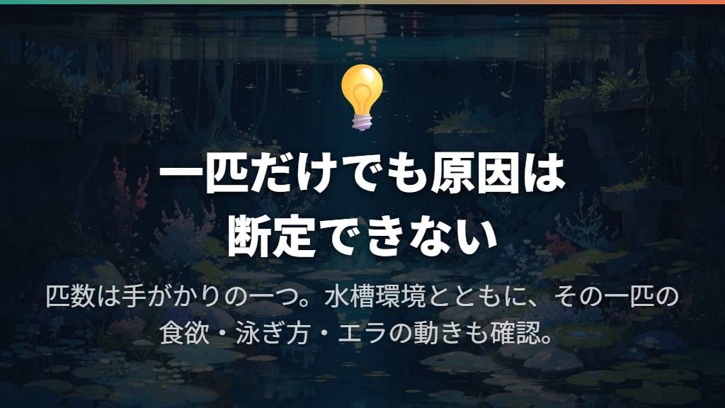 一匹だけならエラ病？匹数は手がかりで、診断ではない