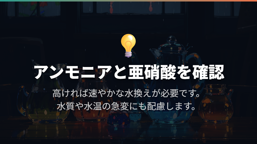 アンモニア・亜硝酸を調べ、急変を避けて水を換える