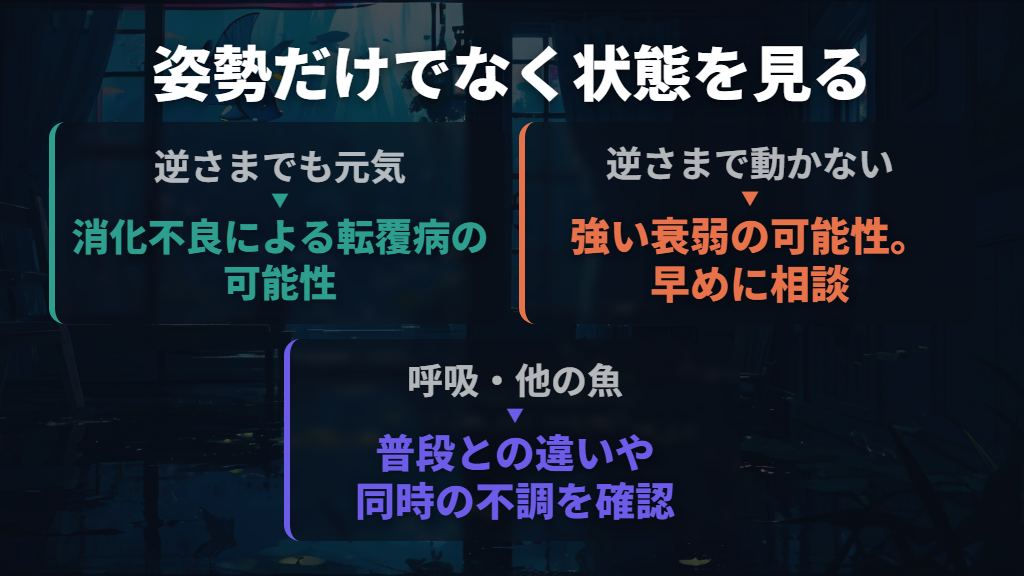 逆さまだけで判断せず、動き・呼吸・他の魚を見る