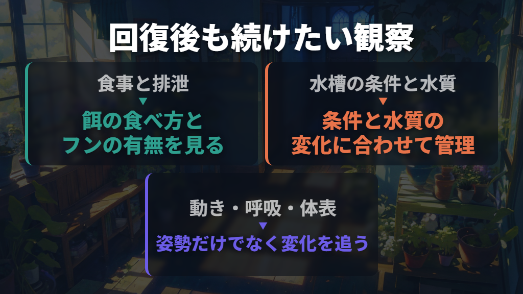 回復後は食事・排泄・水質を見て、再発を防ぐ