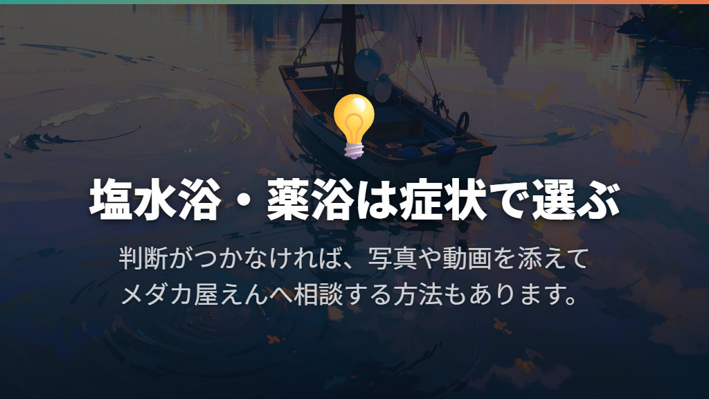 塩水浴と薬浴は症状で選び、判断がつかなければ写真や動画で相談する