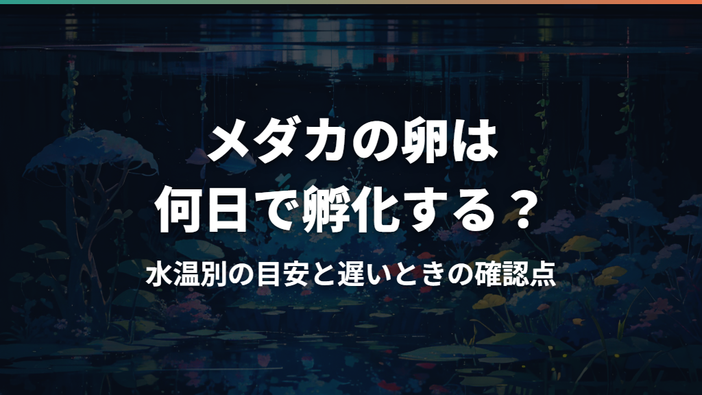 メダカの卵は何日で孵化する?水温別の目安と遅いときの確認点