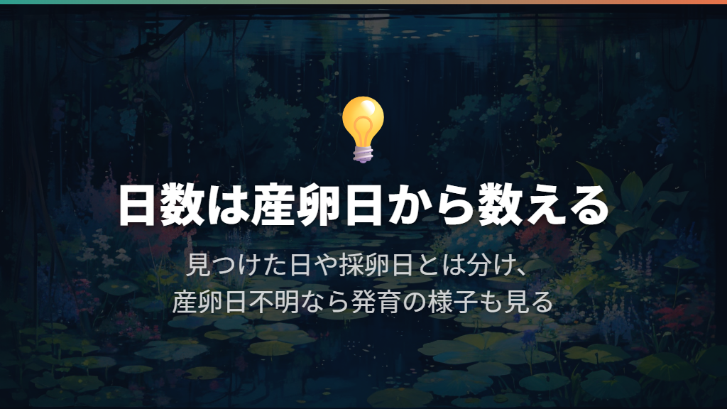 日数は産卵から数え、見つけた日と区別する