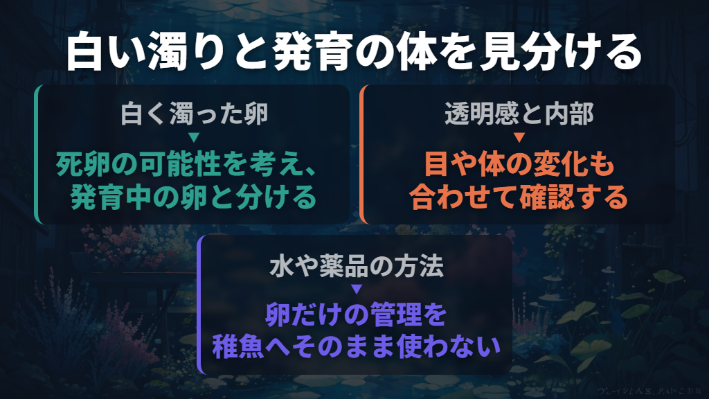 白く濁った卵は、発育中の卵と分けて対処する