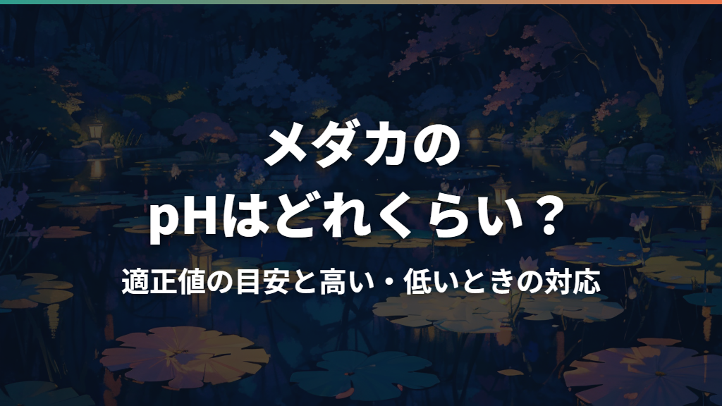 メダカのpHはどれくらい？適正値の目安と高い・低いときの対応