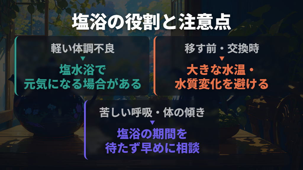 塩浴は軽い体調不良への補助|濃度と水合わせを守る
