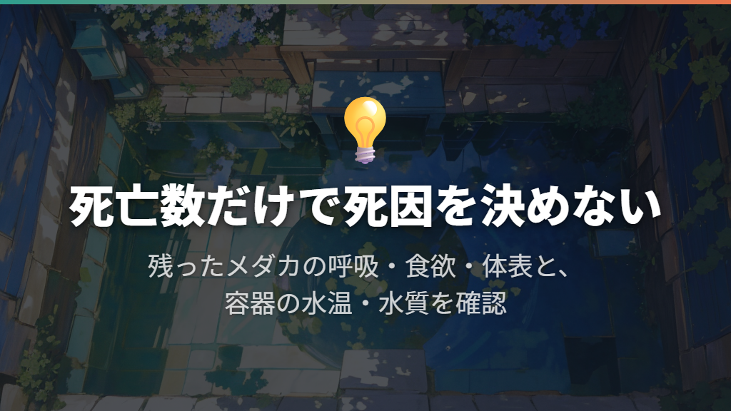 1匹だけ・次々・一晩で複数死ぬとき、最初に見ること