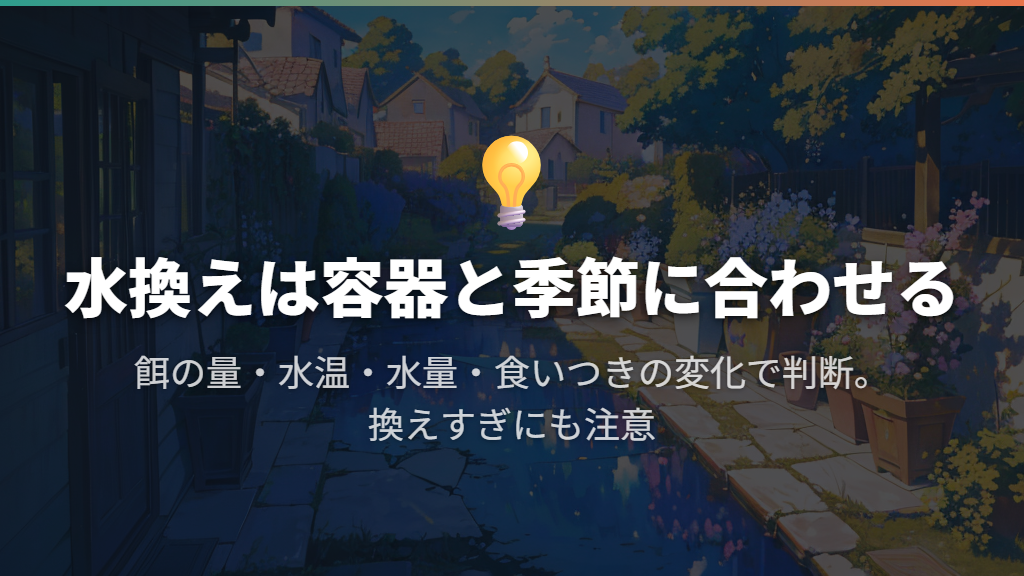 水換えの量・頻度は、容器と季節の条件をそろえて判断する