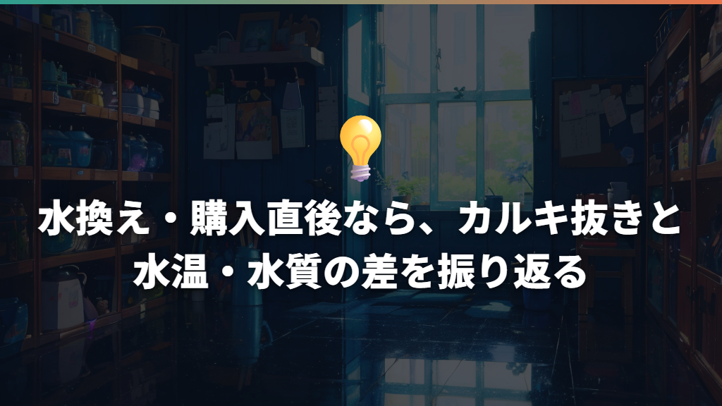 水換え・購入直後なら、カルキ抜きと水温・水質の差を振り返る