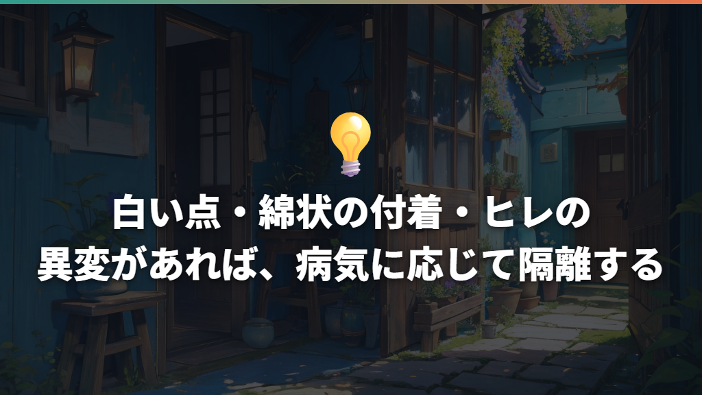白い点・綿状の付着・ヒレの異変があれば、病気に応じて隔離する