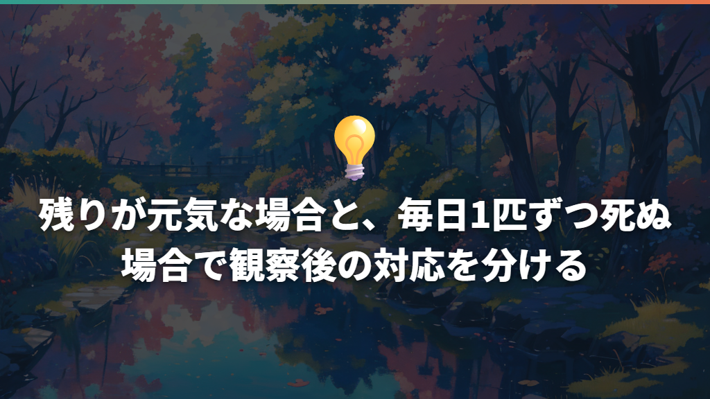 残りが元気な場合と、毎日1匹ずつ死ぬ場合で観察後の対応を分ける