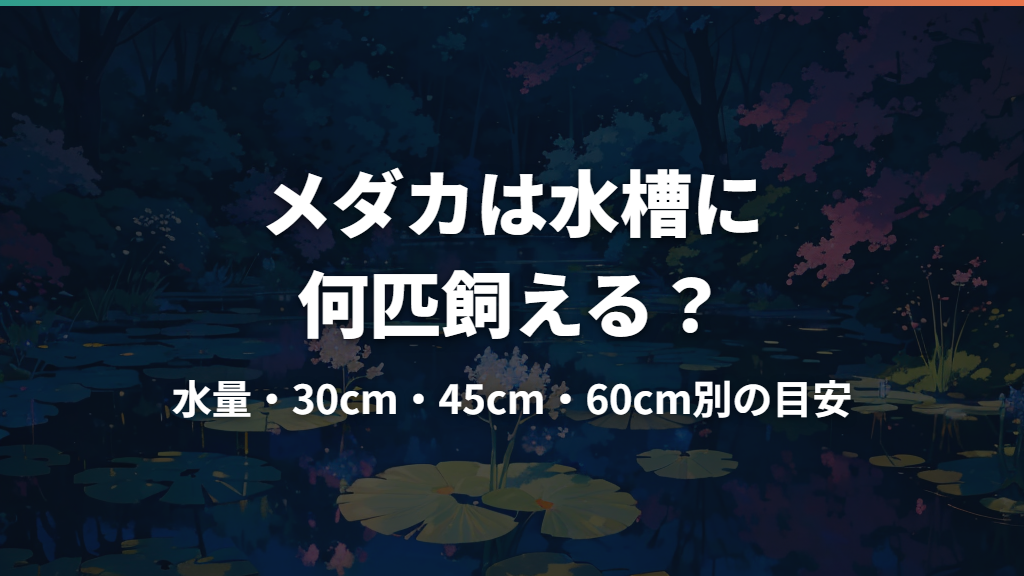 メダカは水槽に何匹飼える？水量・30cm・45cm・60cm別の目安