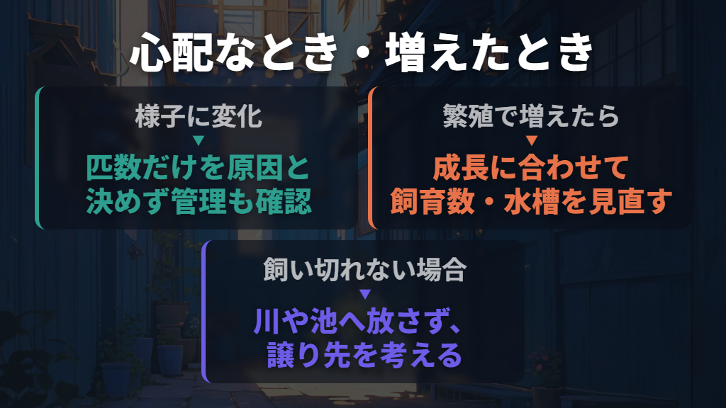 入れすぎが心配なときと、メダカが増えたときの対応