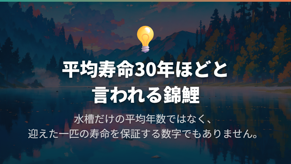 寿命は30年ほどが目安、水槽だけの年数とは区別
