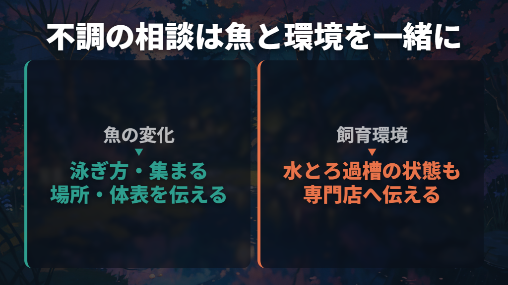 泳ぎ方の変化を見逃さず、不調は専門店へ相談