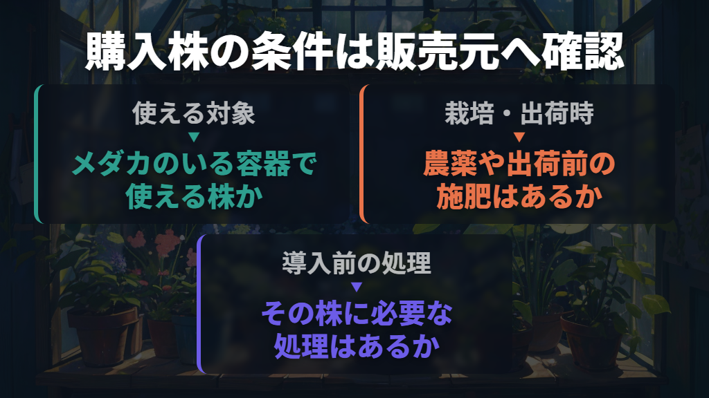 購入したホテイ草の農薬・肥料は販売元の条件を確認する