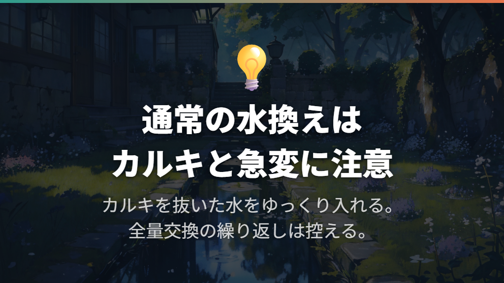 水汚れが疑われるときは、カルキと急変に注意して水換えする