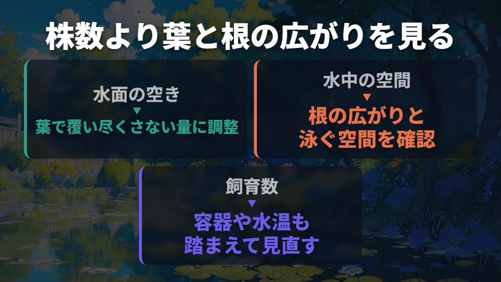 使い続けるなら、水面・水中の空間と匹数を釣り合わせる